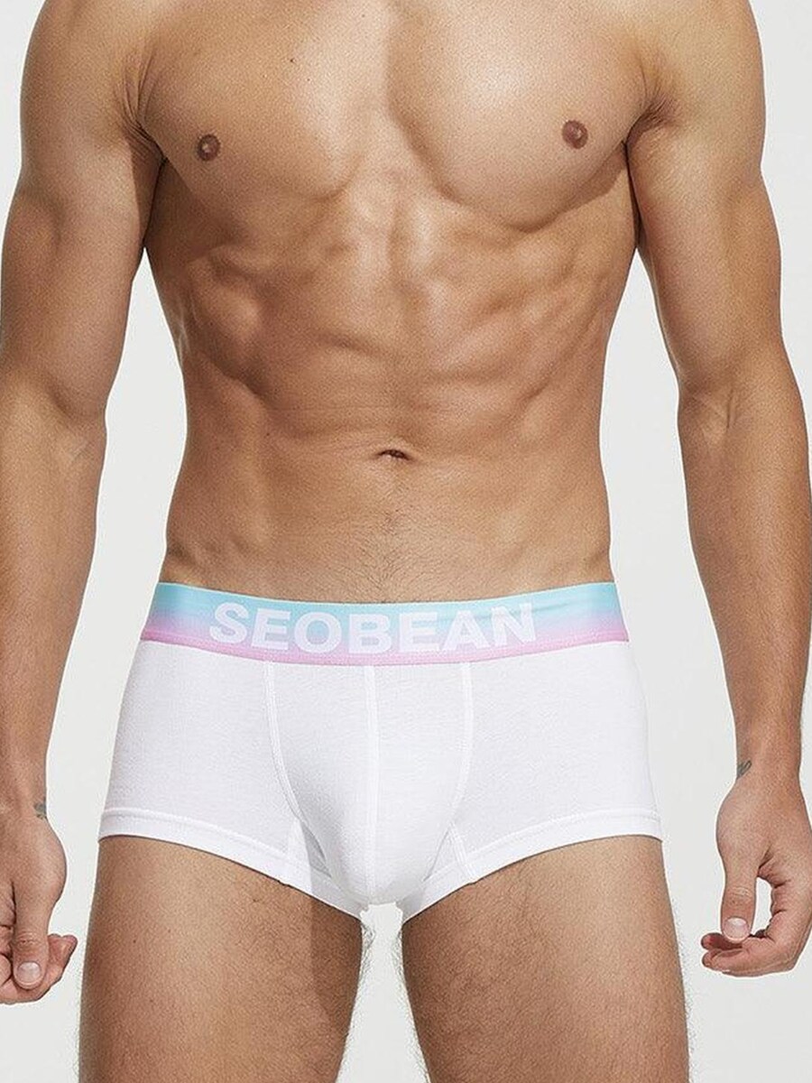 Боксеры SEOBEAN Classic Solid Stretch Trunk, белый
Боксеры SEOBEAN Classic Solid Stretch Trunk, белый