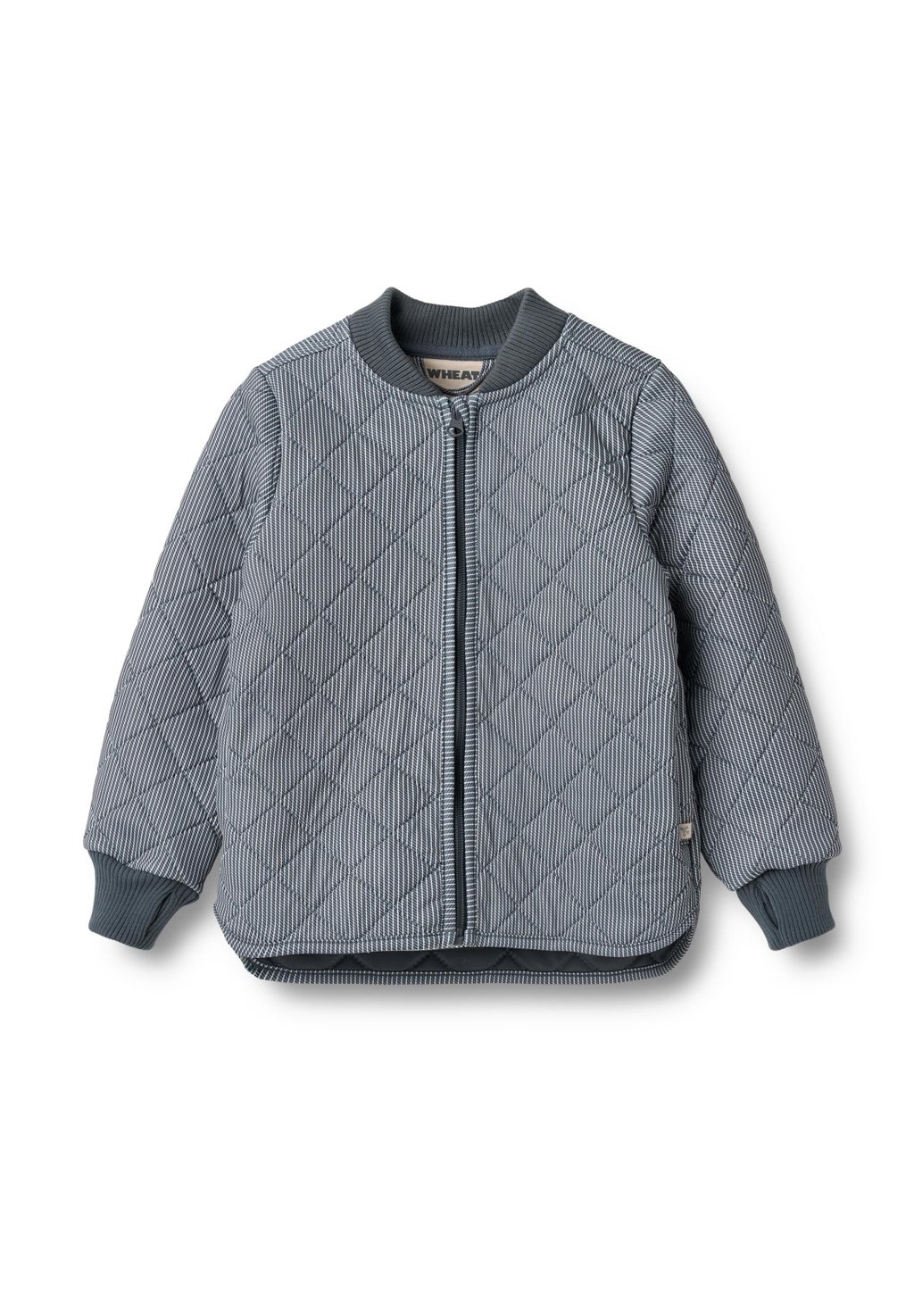 Куртка демисезонная THERMO LOUI Wheat, темно-синий
Куртка демисезонная THERMO LOUI Wheat, темно-синий