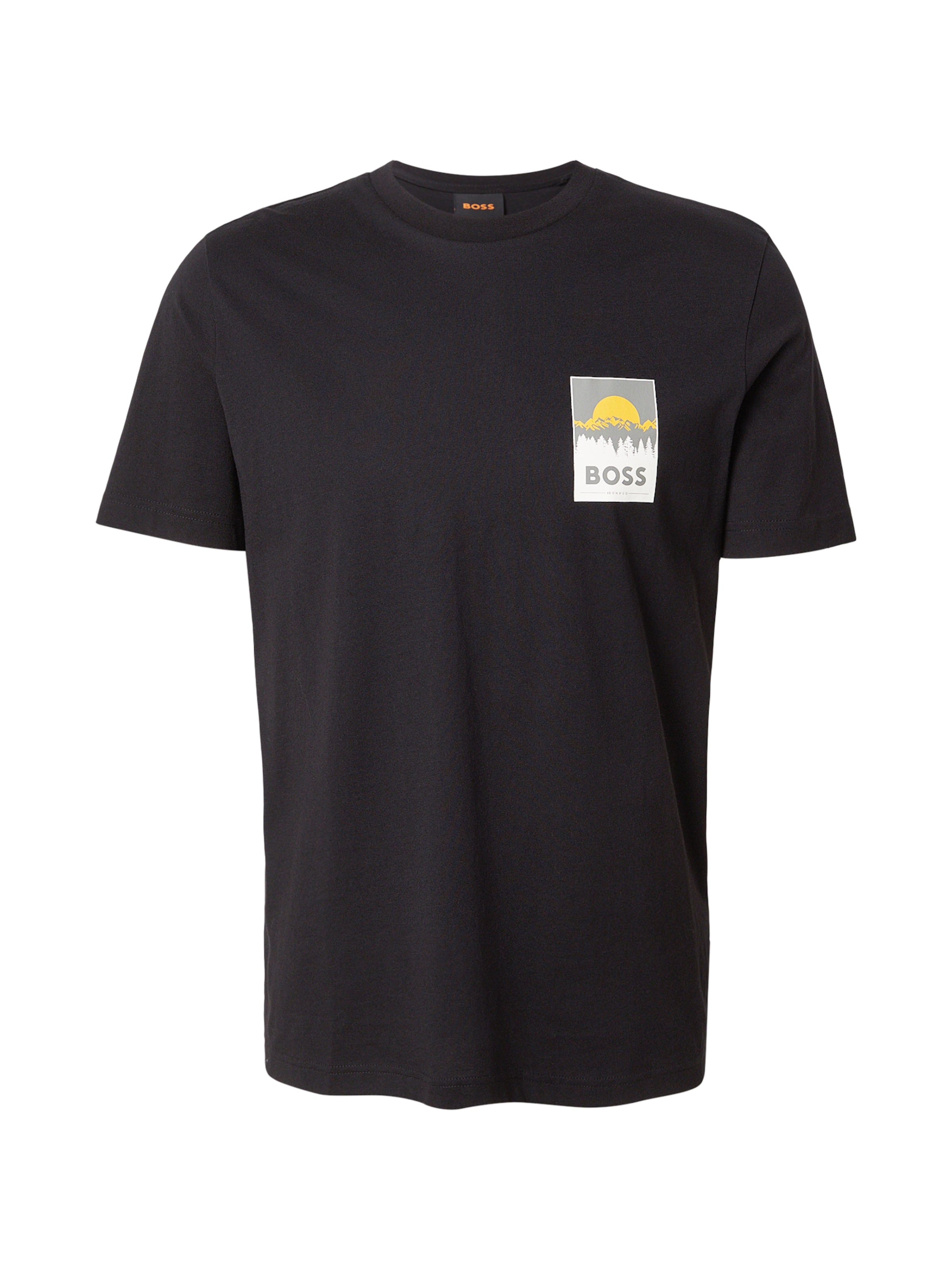 BOSS Футболка 'Te_Plain' в черном цвете
BOSS Футболка 'Te_Plain' в черном цвете