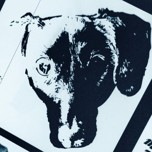 Сингл 7" Leonhart, Michael Orchestra: Denial (Original Soundtrack)
Сингл 7" Leonhart, Michael Orchestra: Denial (Original Soundtrack)