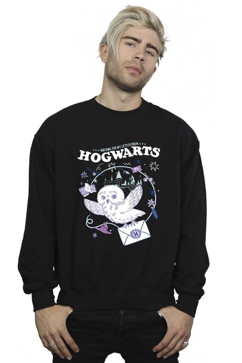 Толстовка с изображением совы «Письмо из Хогвартса» Harry Potter, черный
Толстовка с изображением совы «Письмо из Хогвартса» Harry Potter, черный