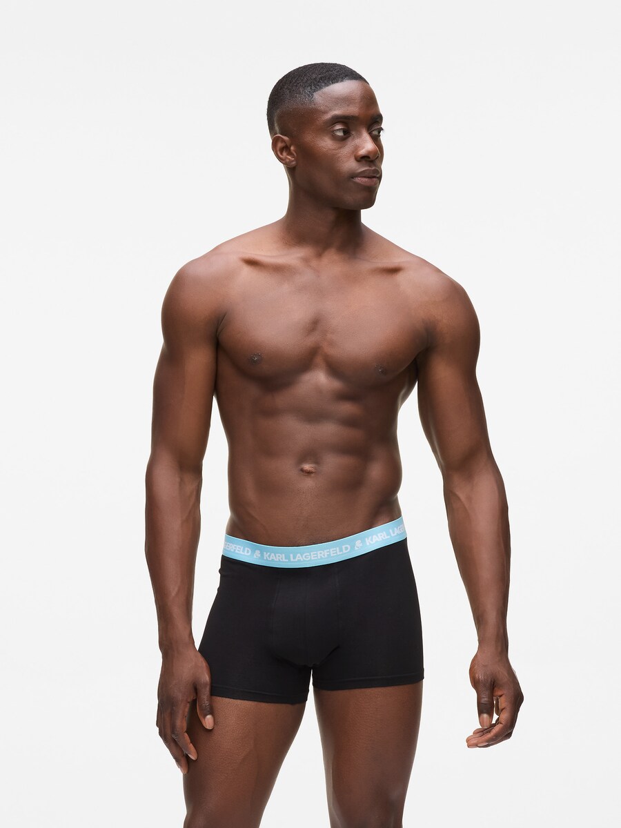 Боксеры Karl Lagerfeld, Black
Боксеры Karl Lagerfeld, Black