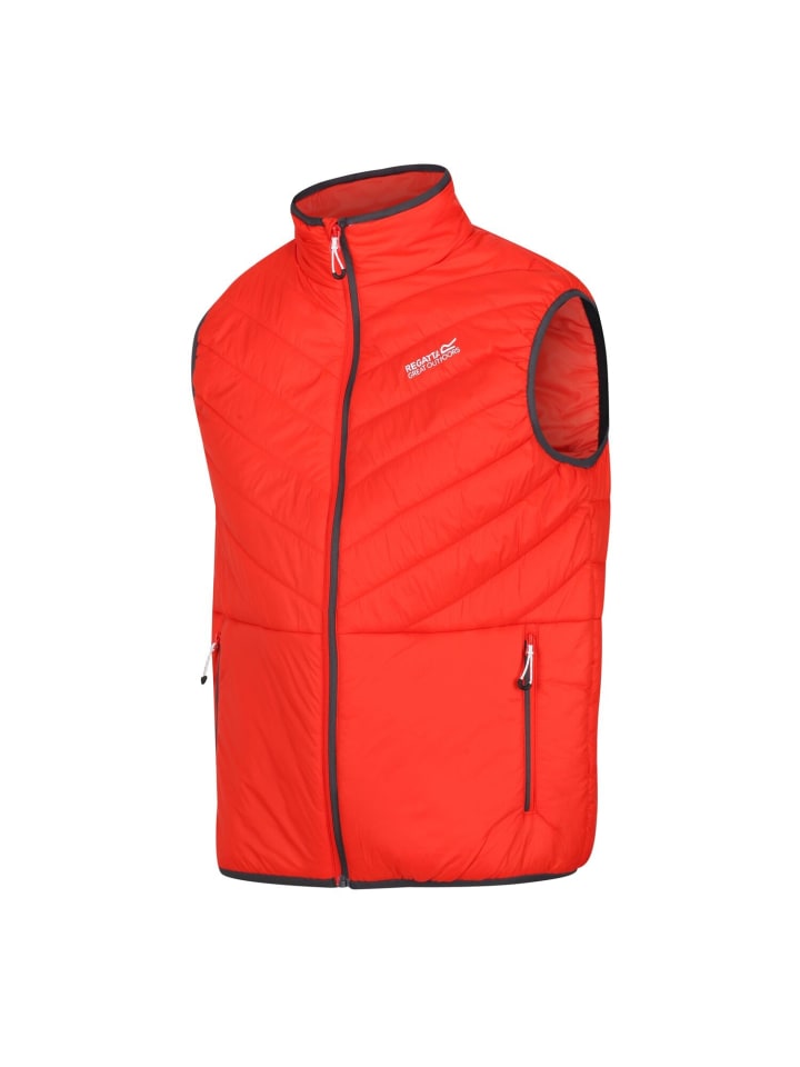 Функциональный жилет Regatta Steppweste Freezeway III, оранжевый
Функциональный жилет Regatta Steppweste Freezeway III, оранжевый