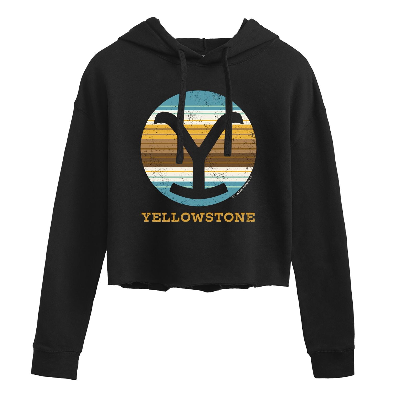 Укороченная толстовка с рисунком «Y» Yellowstone Licensed Character, черный
Укороченная толстовка с рисунком «Y» Yellowstone Licensed Character, черный