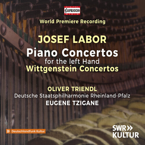 CD диск Labor / Triendl: Left Hand Piano Concertos Wittgenstein Concertos
CD диск Labor / Triendl: Left Hand Piano Concertos Wittgenstein Concertos