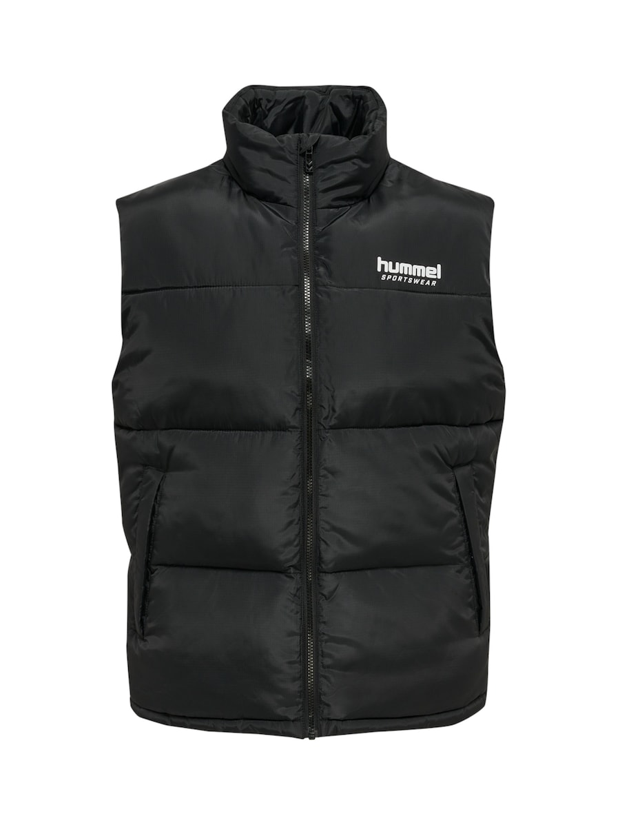 Жилет Hummel Nicky, черный
Жилет Hummel Nicky, черный