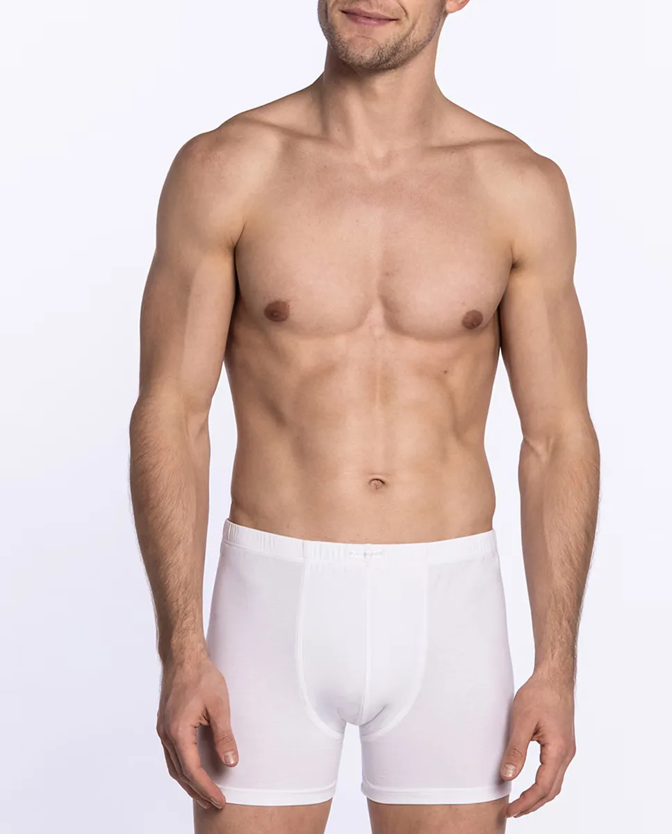 Однотонные мужские трикотажные боксеры Punto Blanco, белый
Однотонные мужские трикотажные боксеры Punto Blanco, белый