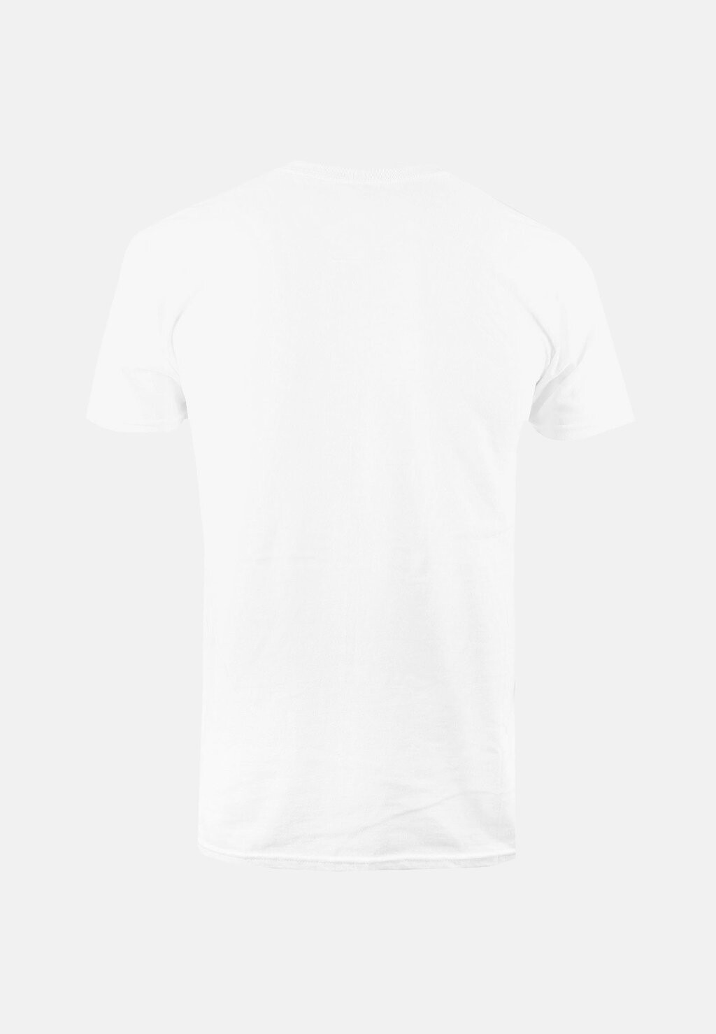 Футболка с принтом GEO TROOPER Star Wars, белый
Футболка с принтом GEO TROOPER Star Wars, белый