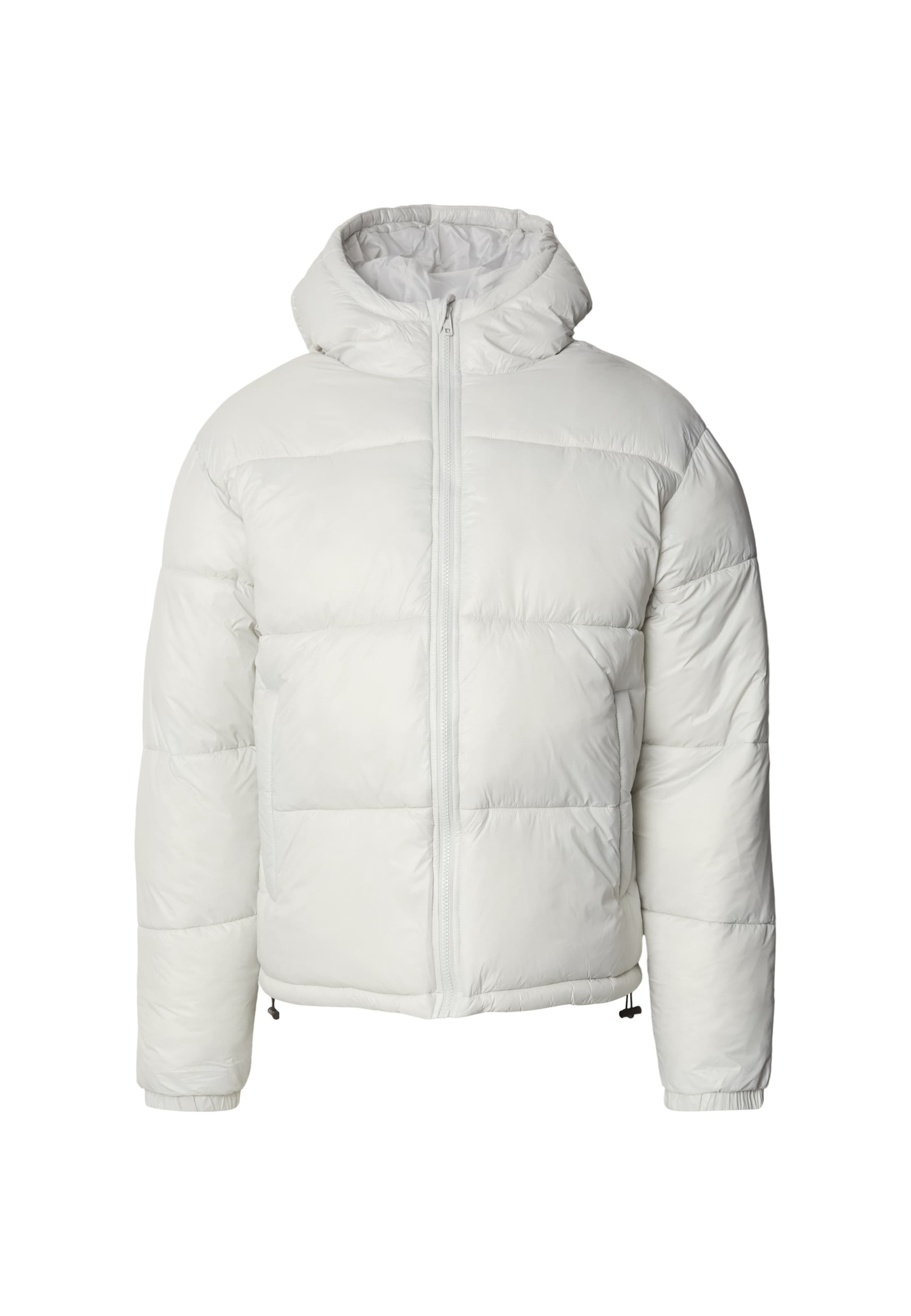 Urban Classics Зимняя куртка в светло-сером цвете
Urban Classics Зимняя куртка в светло-сером цвете