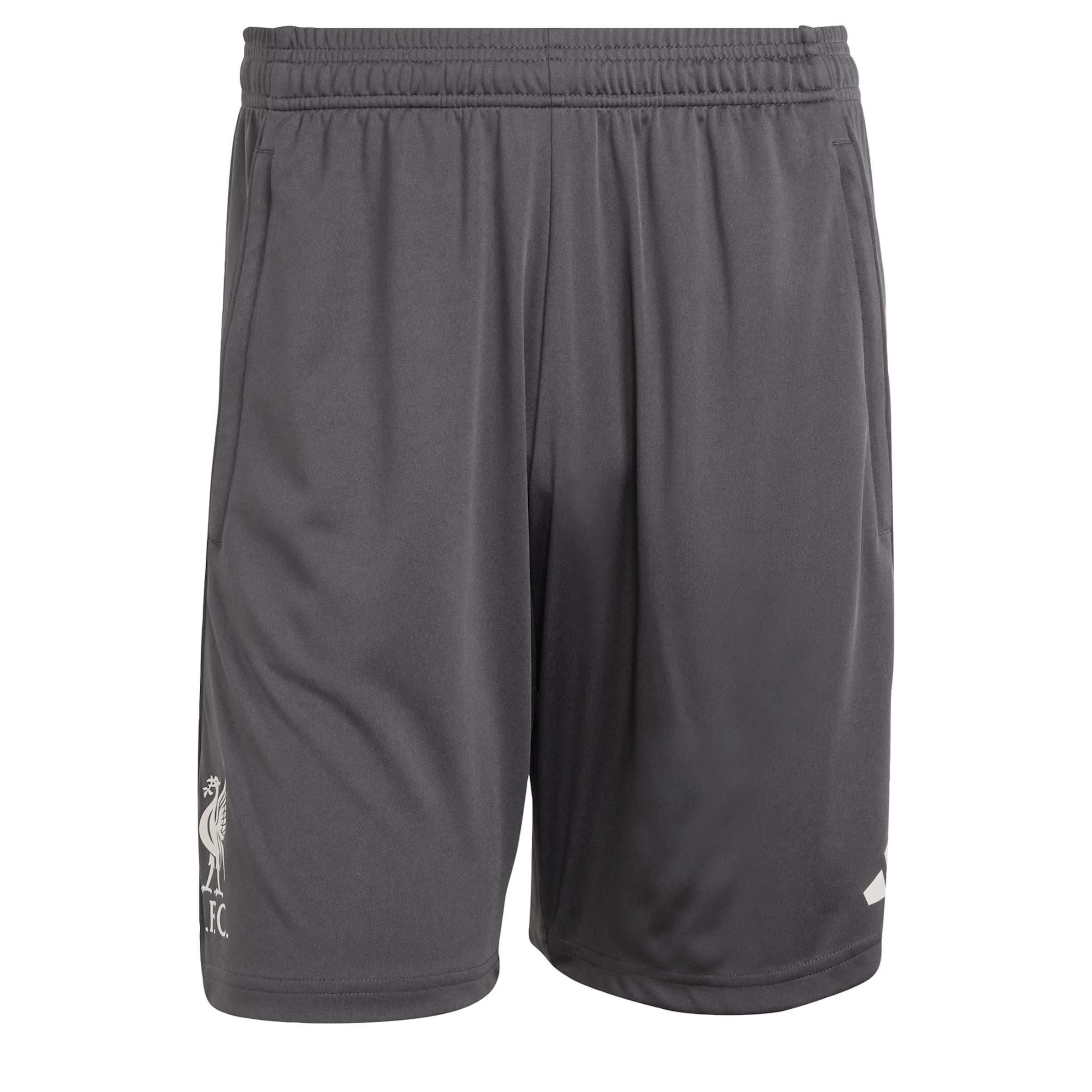Adidas Performance Шорты для тренировок Regular 'FC Liverpool Tiro 25 Competition' в цвете Anthracite
Adidas Performance Шорты для тренировок Regular 'FC Liverpool Tiro 25 Competition' в цвете Anthracite