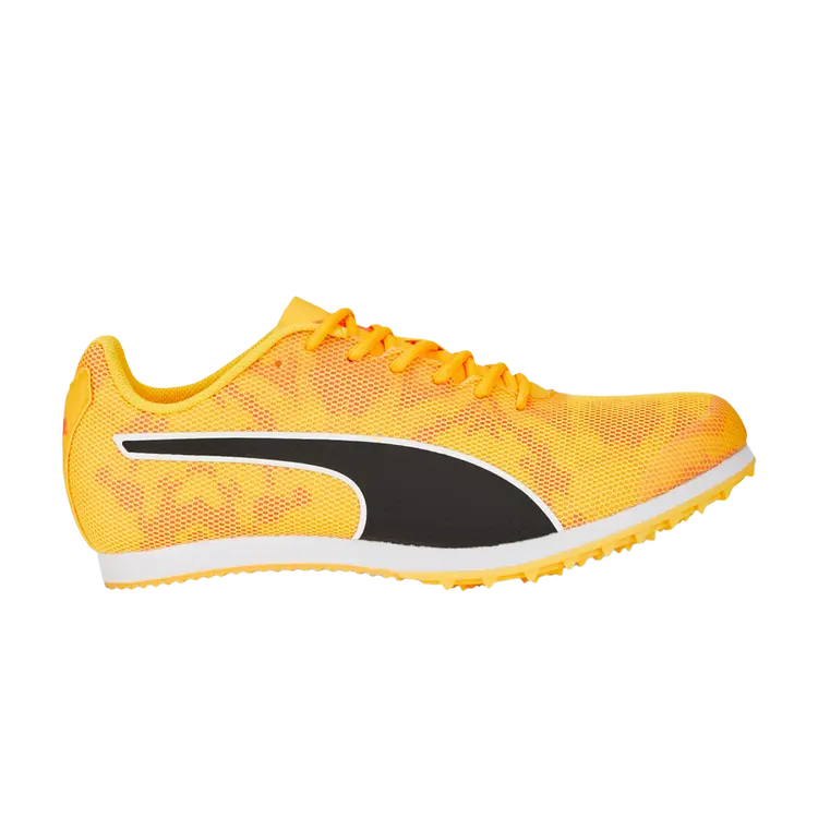 Кроссовки evoSpeed Star 8 Big Kid, цвет Sun Stream
Кроссовки evoSpeed Star 8 Big Kid, цвет Sun Stream