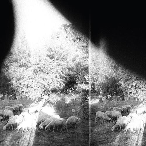 Виниловая пластинка Godspeed You Black Emperor - Asunder Sweet & Other Distress
Виниловая пластинка Godspeed You Black Emperor - Asunder Sweet & Other Distress