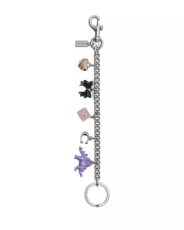 Брелок для сумки в виде цепочки с мотивом Coach, серебряный
Брелок для сумки в виде цепочки с мотивом Coach, серебряный