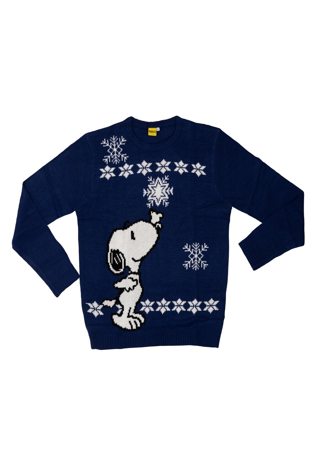 Джемпер Snoopy с принтом, синий
Джемпер Snoopy с принтом, синий