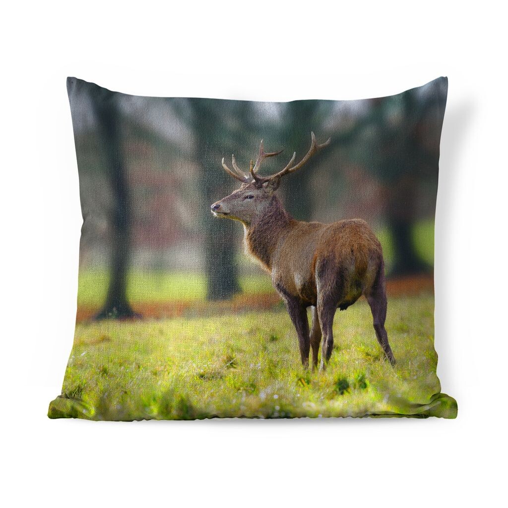 MuchoWow Deer - Красный олень в поле - 60x60 см - чехол на подушку - хлопчатобумажная ткань - декоративные чехлы на подушки
MuchoWow Deer - Красный олень в поле - 60x60 см - чехол на подушку - хлопчатобумажная ткань - декоративные чехлы на подушки