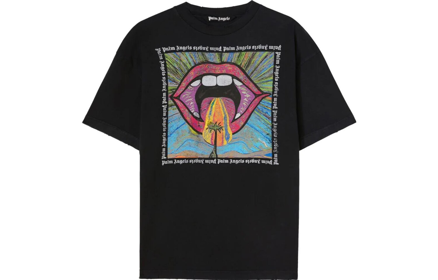 Футболка с круглым вырезом Crazy Mouth Palm Angels, серый 
Футболка с круглым вырезом Crazy Mouth Palm Angels, серый