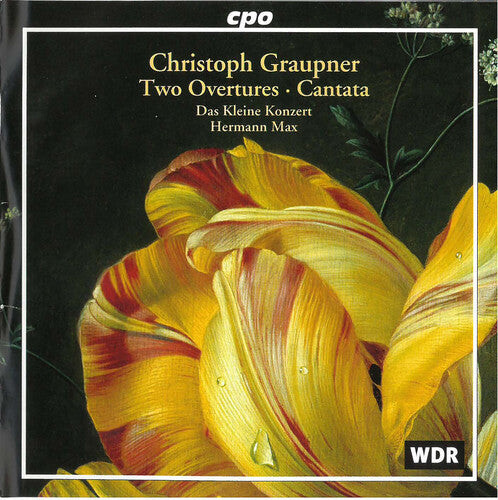 CD диск Graupner / Schlick / Meens / Varcoe / Max: Two Overtures / Cantata
CD диск Graupner / Schlick / Meens / Varcoe / Max: Two Overtures / Cantata