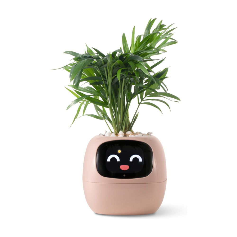 Умный горшок для домашних растений PlantsIO IVY, розовый
Умный горшок для домашних растений PlantsIO IVY, розовый