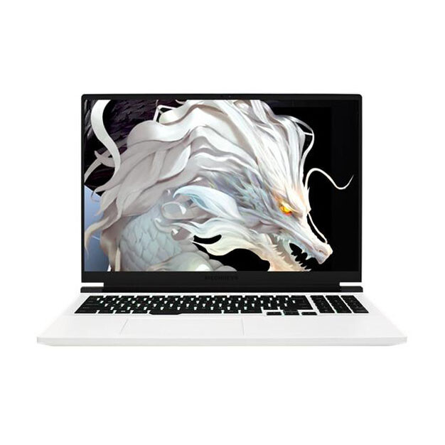 Игровой ноутбук Mechrevo Jiaolong 16 Pro 16'', 32ГБ/1ТБ, R9-7945HX, RTX 4070, белый, английская клавиатура
Игровой ноутбук Mechrevo Jiaolong 16 Pro 16'', 32ГБ/1ТБ, R9-7945HX, RTX 4070, белый, английская клавиатура