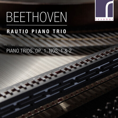 CD диск Beethoven / Rautio Piano Trio: Piano Trios 1 1 & 2
CD диск Beethoven / Rautio Piano Trio: Piano Trios 1 1 & 2