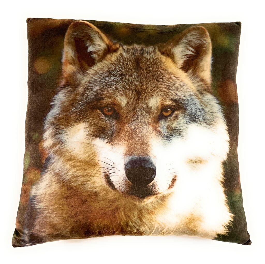 On Womania Husky Wolf Dog Плюшевая подушка для дивана или кровати в качестве украшения или приятная подушка 35 x 35 см Onwomania
On Womania Husky Wolf Dog Плюшевая подушка для дивана или кровати в качестве украшения или приятная подушка 35 x 35 см Onwomania