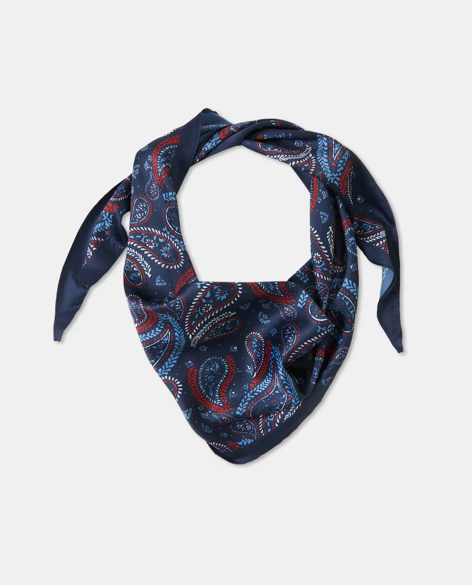 Бандана с принтом пейсли Tintoretto, тёмно-синий
Бандана с принтом пейсли Tintoretto, тёмно-синий
