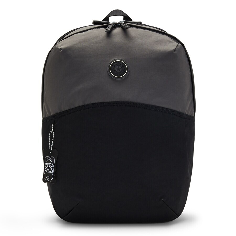 Рюкзак KIPLING Backpack Ayano, черный
Рюкзак KIPLING Backpack Ayano, черный