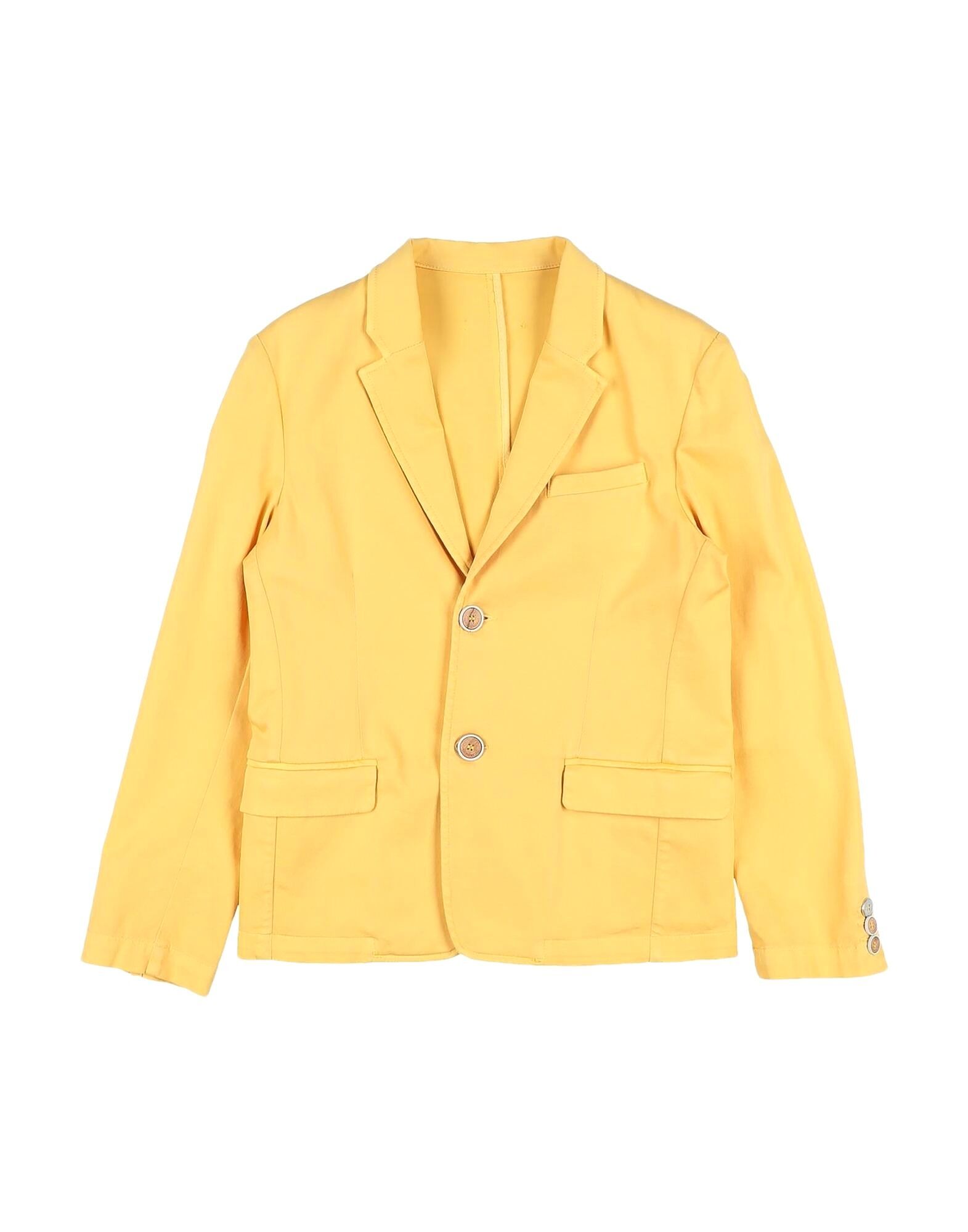 Блейзер для мальчиков Carlo Pignatelli, желтый
Блейзер для мальчиков Carlo Pignatelli, желтый