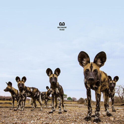 CD диск Balthazar: Fever
CD диск Balthazar: Fever