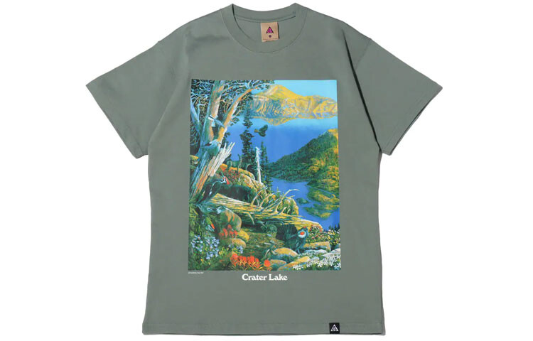 Футболка ACG мужская зеленая Nike, зеленый
Футболка ACG мужская зеленая Nike, зеленый