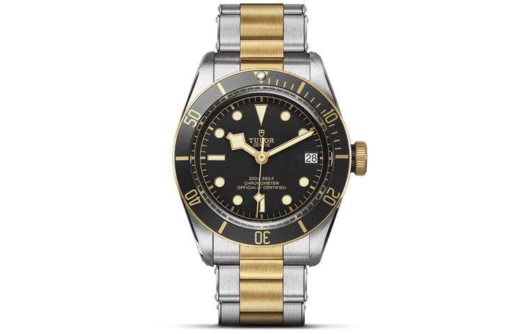 TUDOR Black Bay M79733N
TUDOR Black Bay M79733N