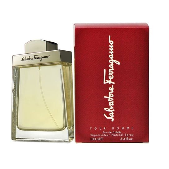 Туалетная вода, 100 мл Salvatore Ferragamo, Pour Homme
Туалетная вода, 100 мл Salvatore Ferragamo, Pour Homme