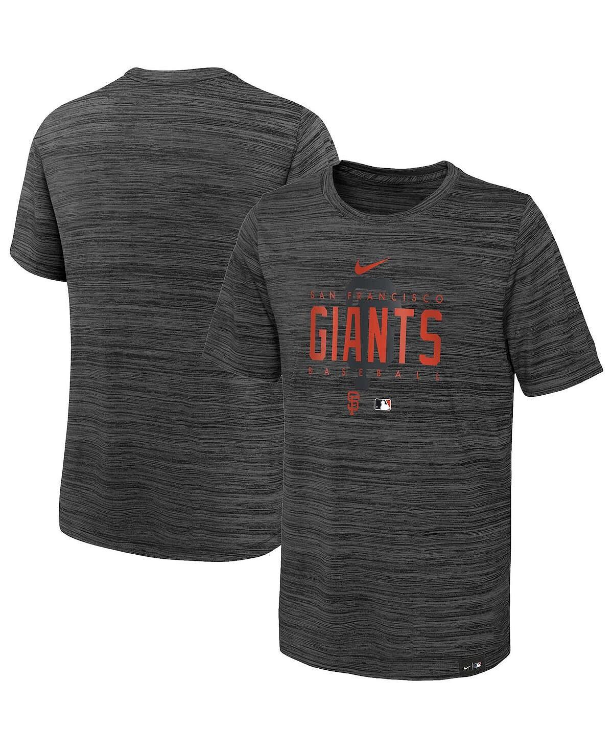 Черная футболка для мальчиков и девочек San Francisco Giants Authentic Collection Velocity Practice Performance Nike, Черный, Черная футболка для мальчиков и девочек San Francisco Giants Authentic Collection Velocity Practice Performance Nike
Черная футболка для мальчиков и девочек San Francisco Giants Authentic Collection Velocity Practice Performance Nike, Черный, Черная футболка для мальчиков и девочек San Francisco Giants Authentic Collection Velocity Practice Performance Nike