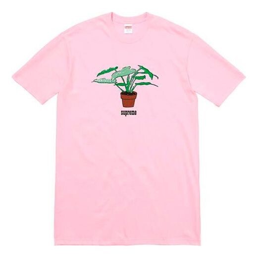 Футболка fw17 plant tee light pink bonsai printing short sleeve Supreme, розовый
Футболка fw17 plant tee light pink bonsai printing short sleeve Supreme, розовый