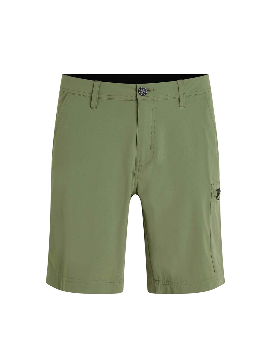 Шорты для серфинга O'NEILL Regular Swimming Trunks, оливковый
Шорты для серфинга O'NEILL Regular Swimming Trunks, оливковый