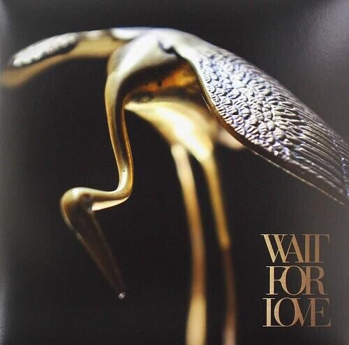 Виниловая пластинка Pianos Become The Teeth - Wait For Love
Виниловая пластинка Pianos Become The Teeth - Wait For Love