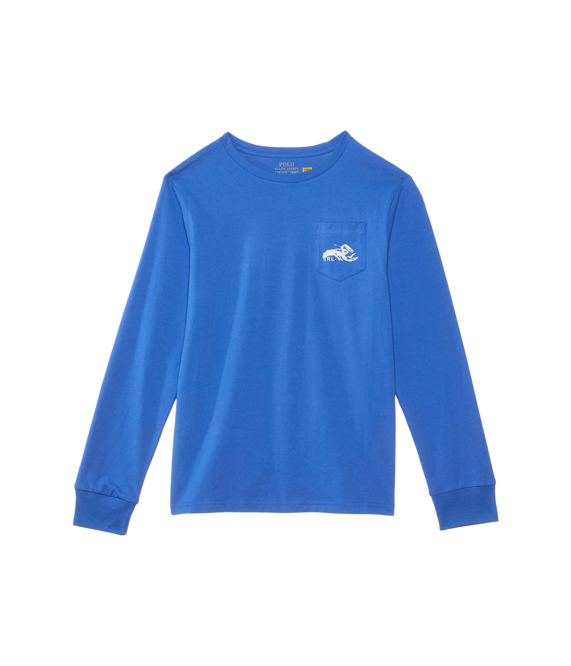 Футболка Polo Ralph Lauren Kids Cotton Jersey Long-Sleeve Graphic Tee, цвет Scottsdale Blue
Футболка Polo Ralph Lauren Kids Cotton Jersey Long-Sleeve Graphic Tee, цвет Scottsdale Blue