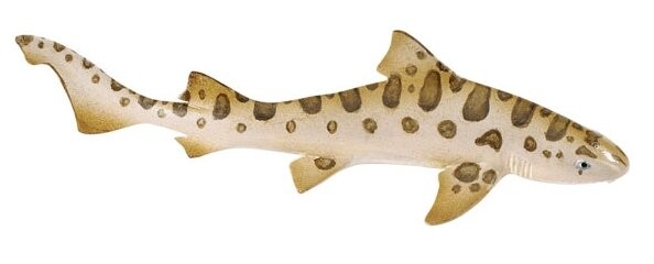 Safari Ltd 274929 Леопардовая акула 14 х 3см
Safari Ltd 274929 Леопардовая акула 14 х 3см