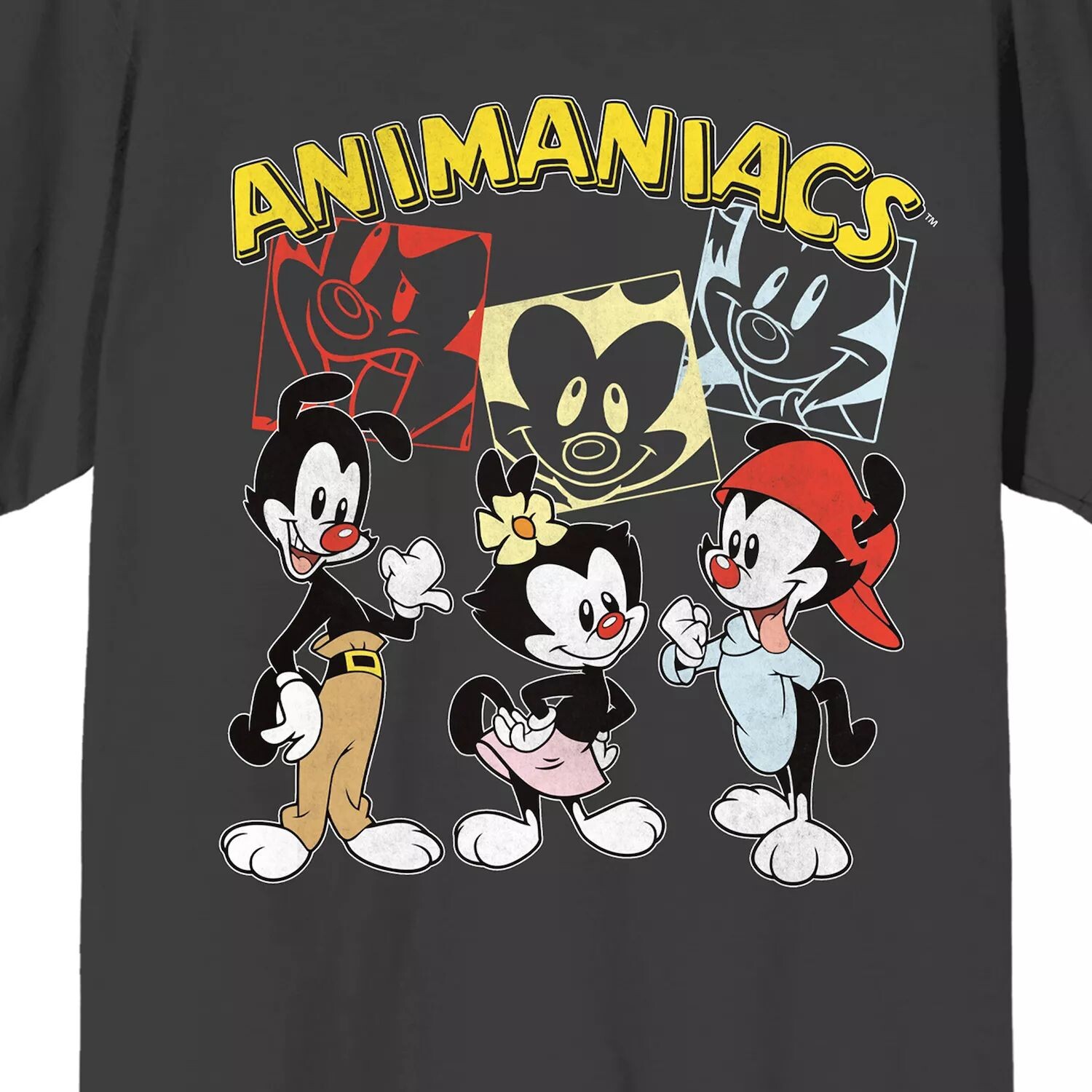 Мужская футболка Animaniacs Wakko и Dot Licensed Character
Мужская футболка Animaniacs Wakko и Dot Licensed Character