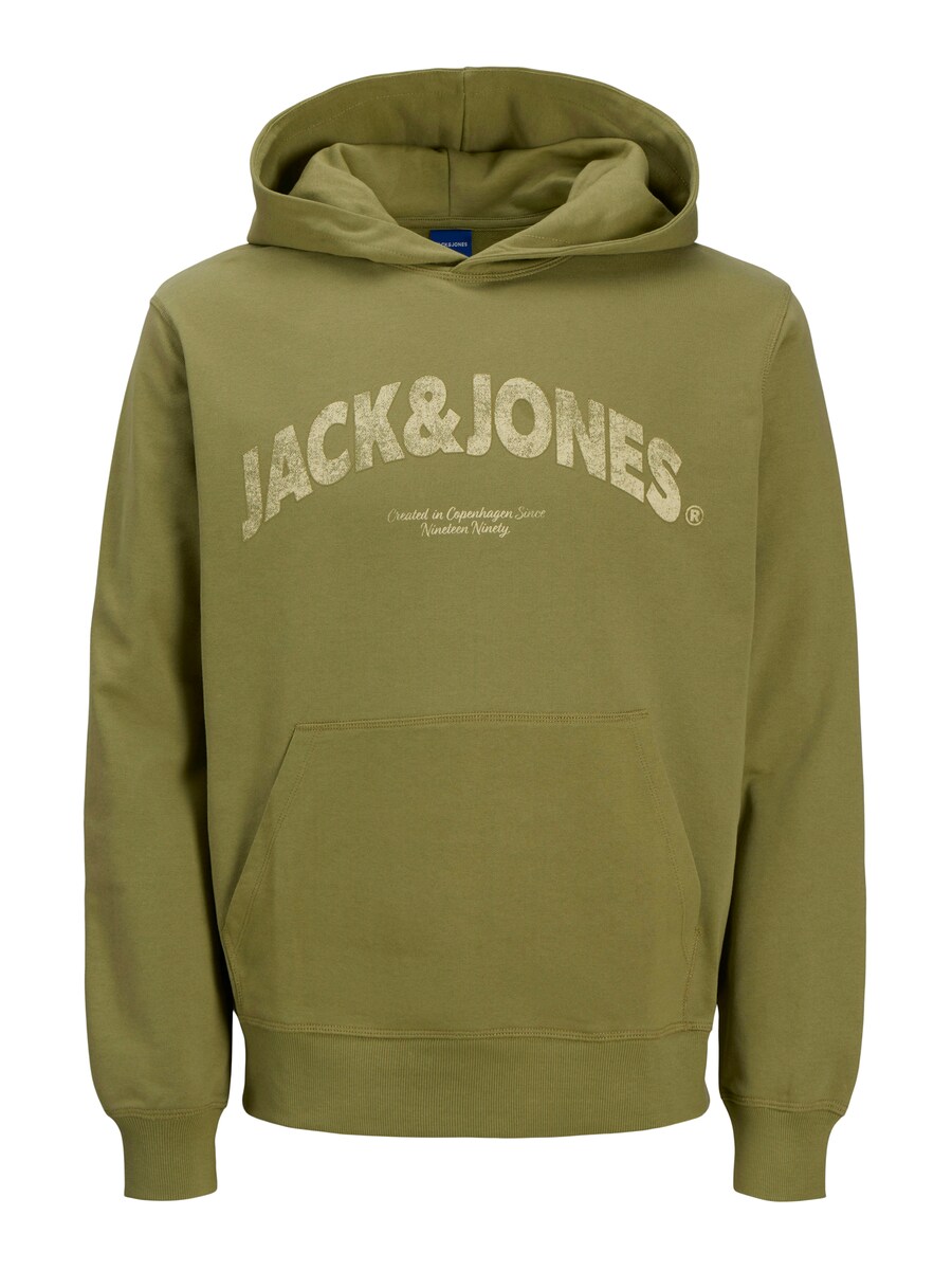 Толстовка Jack & Jones Plus JORAlmeria, цвет Olive/Pastel green
Толстовка Jack & Jones Plus JORAlmeria, цвет Olive/Pastel green