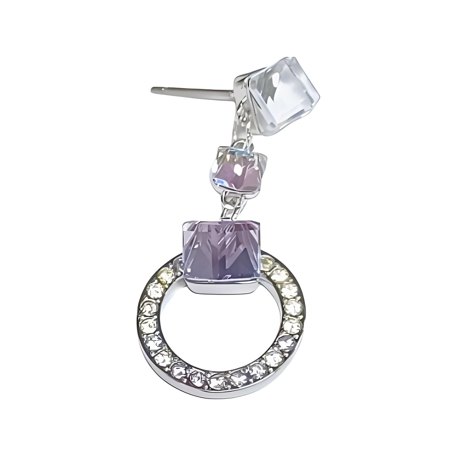 Swarovski Родированные серьги унисекс фиолетовые
Swarovski Родированные серьги унисекс фиолетовые