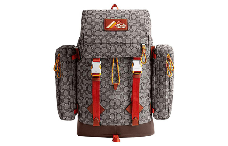 Сумка-рюкзак Travel Bag Large мужская Gray COACH, Set (Bag+Dust Bag)
Сумка-рюкзак Travel Bag Large мужская Gray COACH, Set (Bag+Dust Bag)