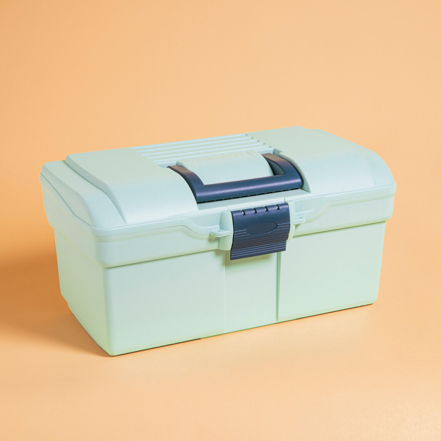 Ящик Fouganza для вещей, розовый
Ящик Fouganza для вещей, розовый