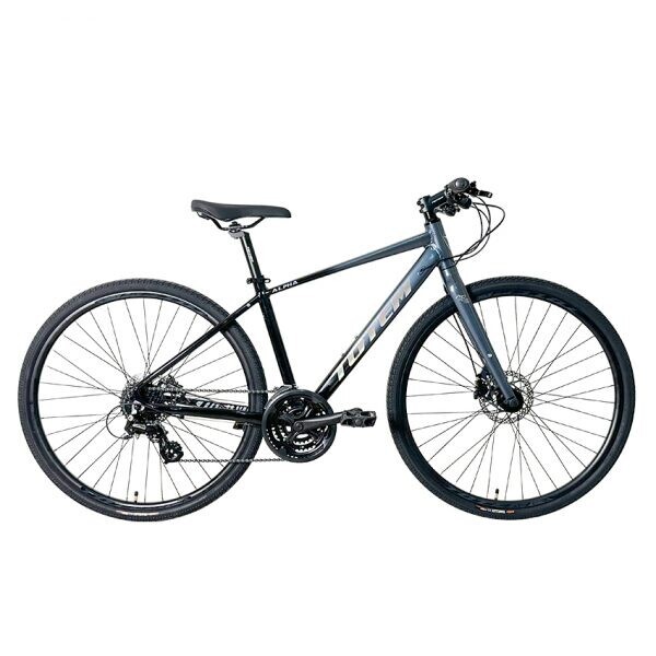 Totem Alpha Touring Street Bike, размер М, серый
Totem Alpha Touring Street Bike, размер М, серый