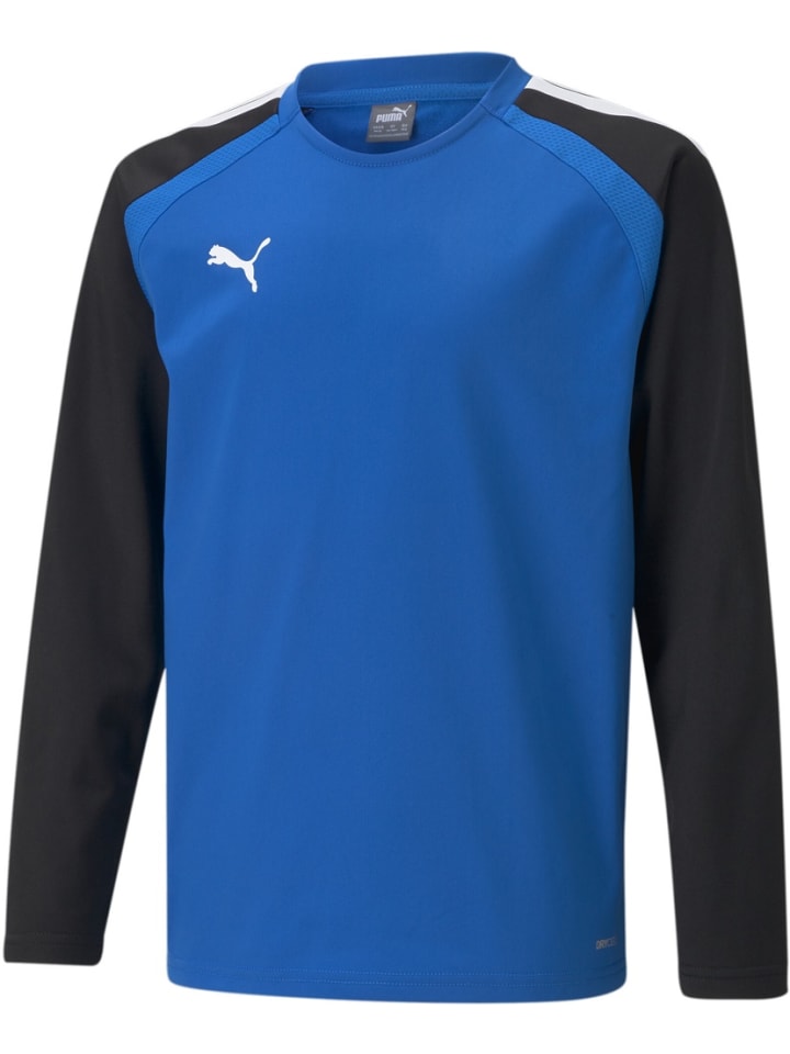 Свитер TeamLIGA Training Sweat Jr синего цвета Puma
Свитер TeamLIGA Training Sweat Jr синего цвета Puma