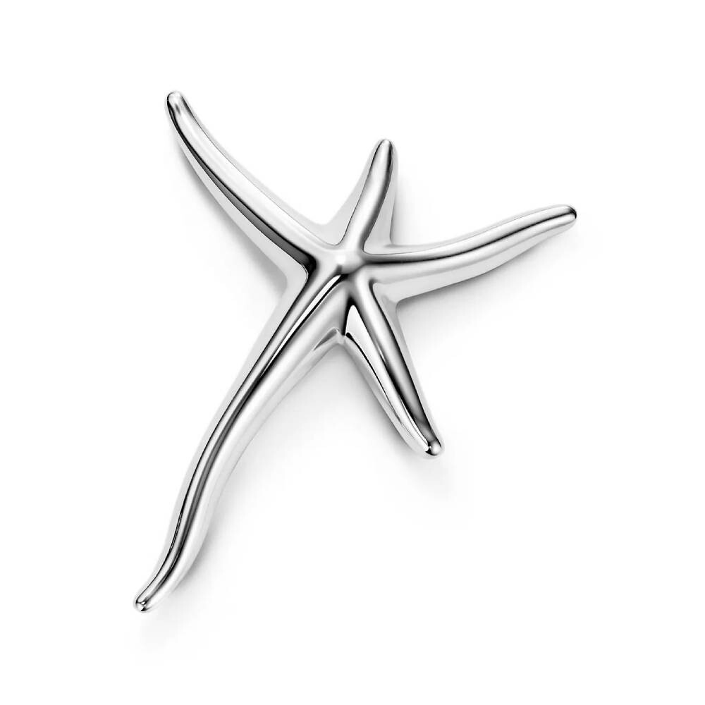 Брошь Tiffany & Co. Starfish, серебро
Брошь Tiffany & Co. Starfish, серебро