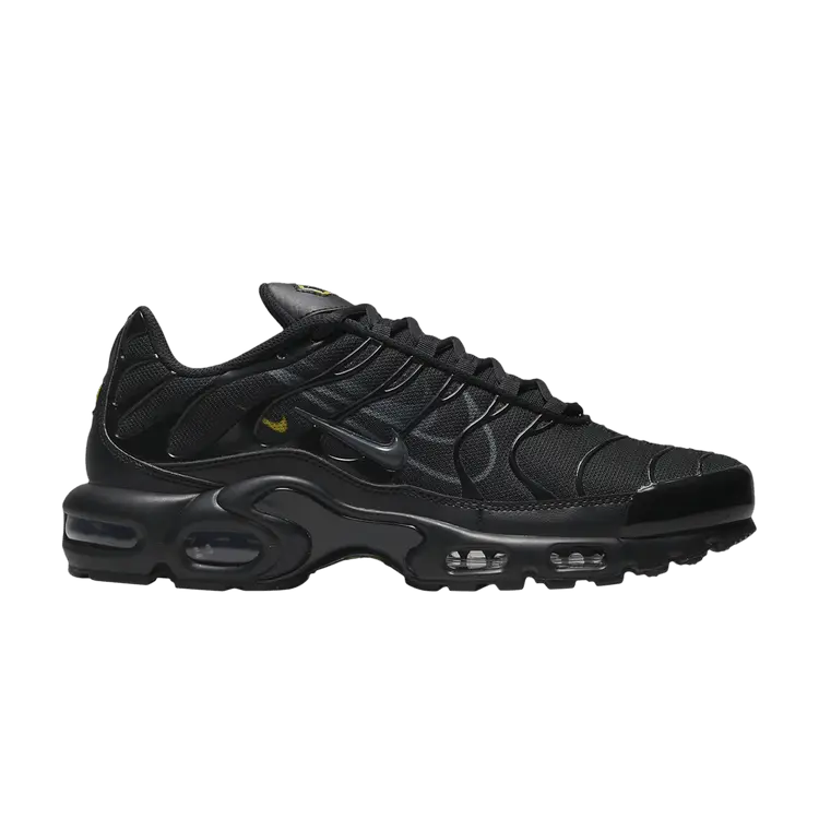 Кроссовки Nike Air Max Plus 'Multi-Swoosh - Black', черный
Кроссовки Nike Air Max Plus 'Multi-Swoosh - Black', черный