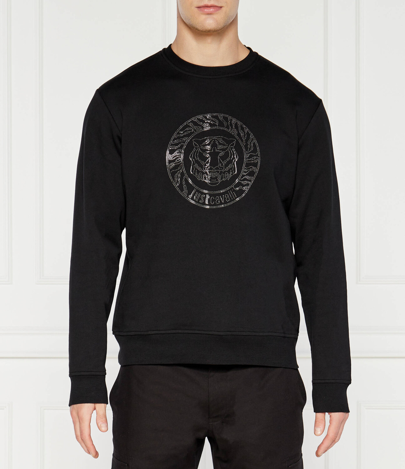 Толстовка Just Cavalli Regular Fit, черный
Толстовка Just Cavalli Regular Fit, черный