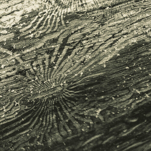 Виниловая пластинка Roginski, Raphael: Talan
Виниловая пластинка Roginski, Raphael: Talan