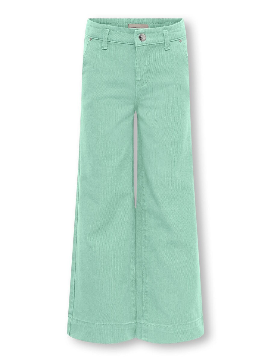 Широкие брюки ONLY GIRLS KOGNew Brook, светло-зеленый
Широкие брюки ONLY GIRLS KOGNew Brook, светло-зеленый